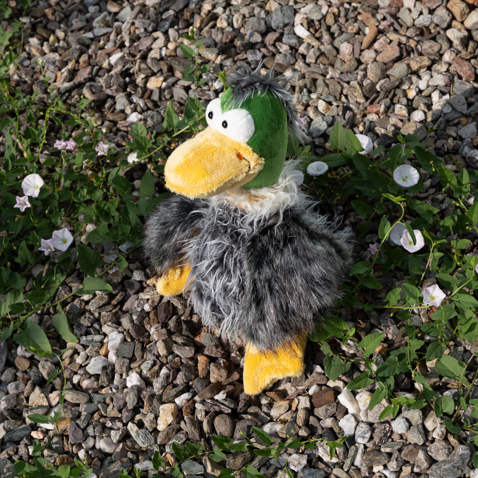 Kuschelente Gacko Gack, Kikeriki