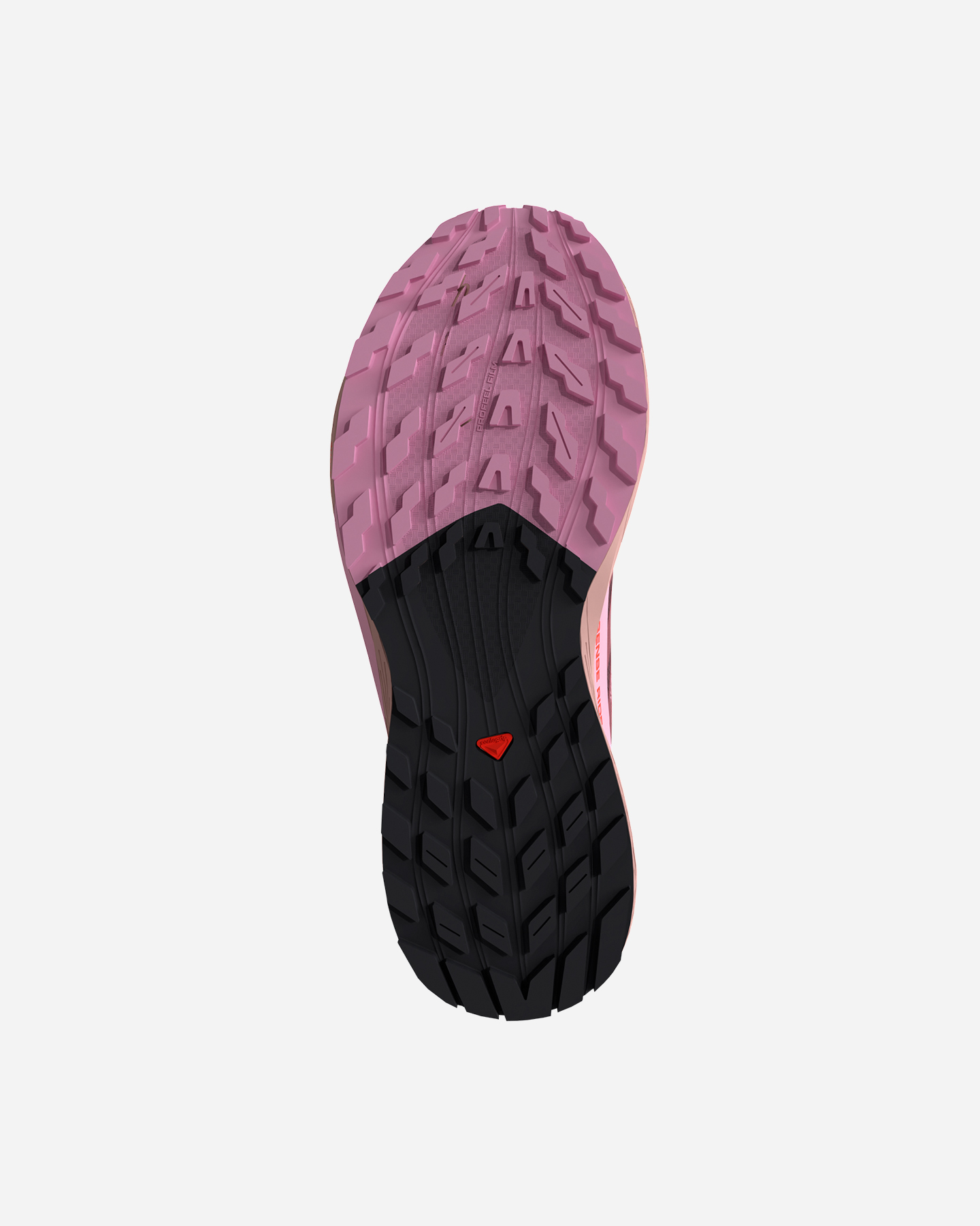 Scarpe Trail Salomon Sense Ride 5 Gtx W L47592300