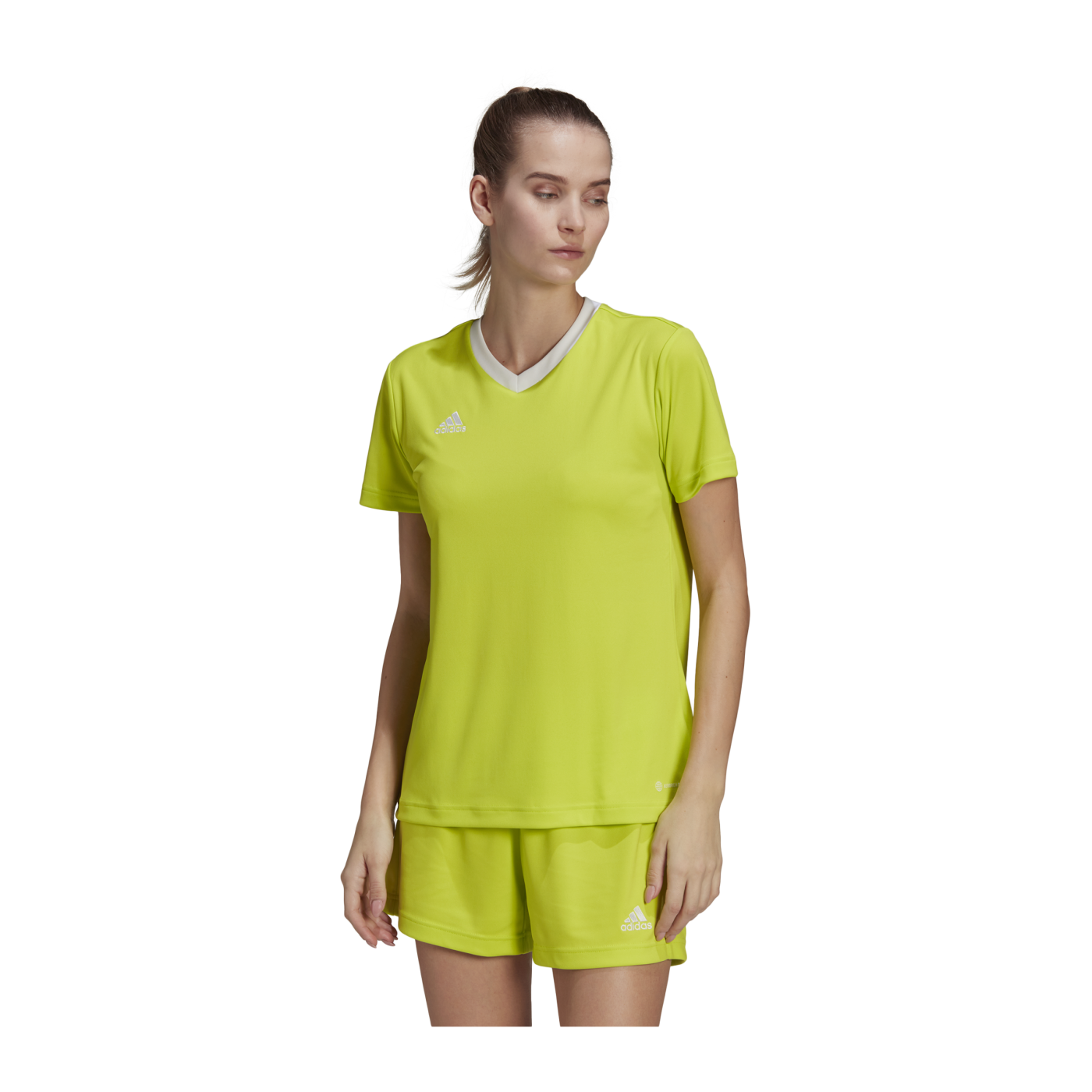 adidas Entrada 22 Trikot Damen Grün Weiss