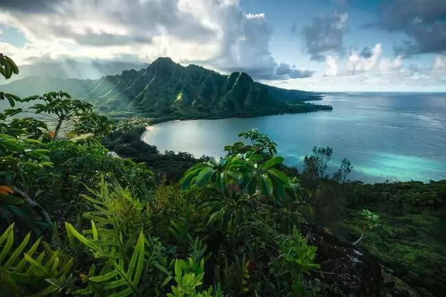 Puzzle 5000 Teile - Atemberaubendes Hawaii