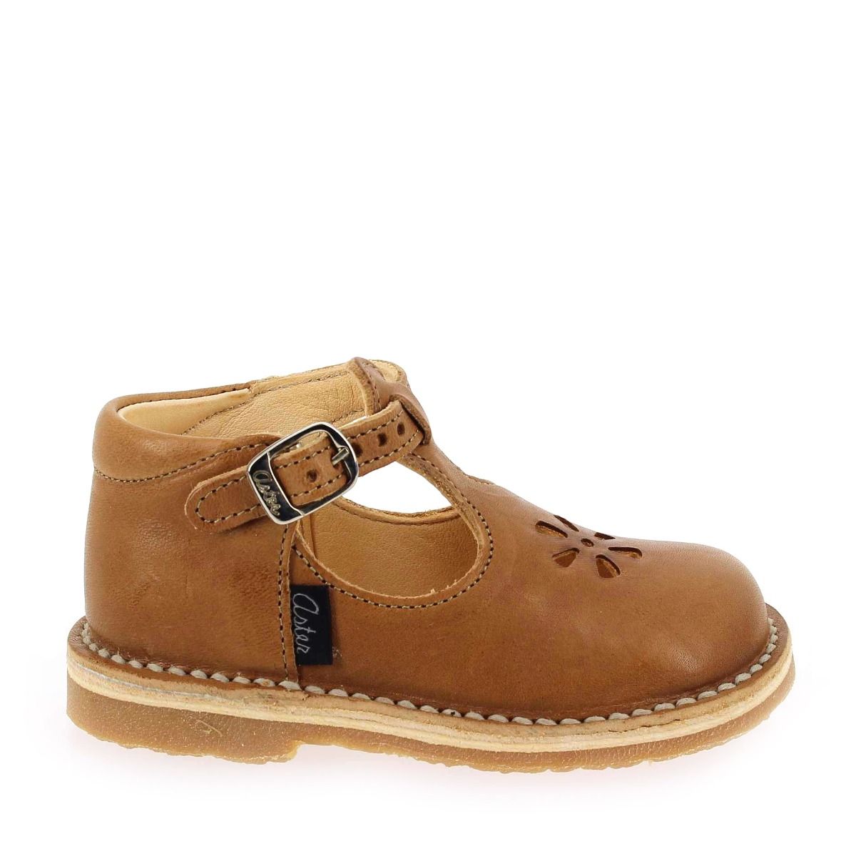Aster  BIMBO 2 - Camel