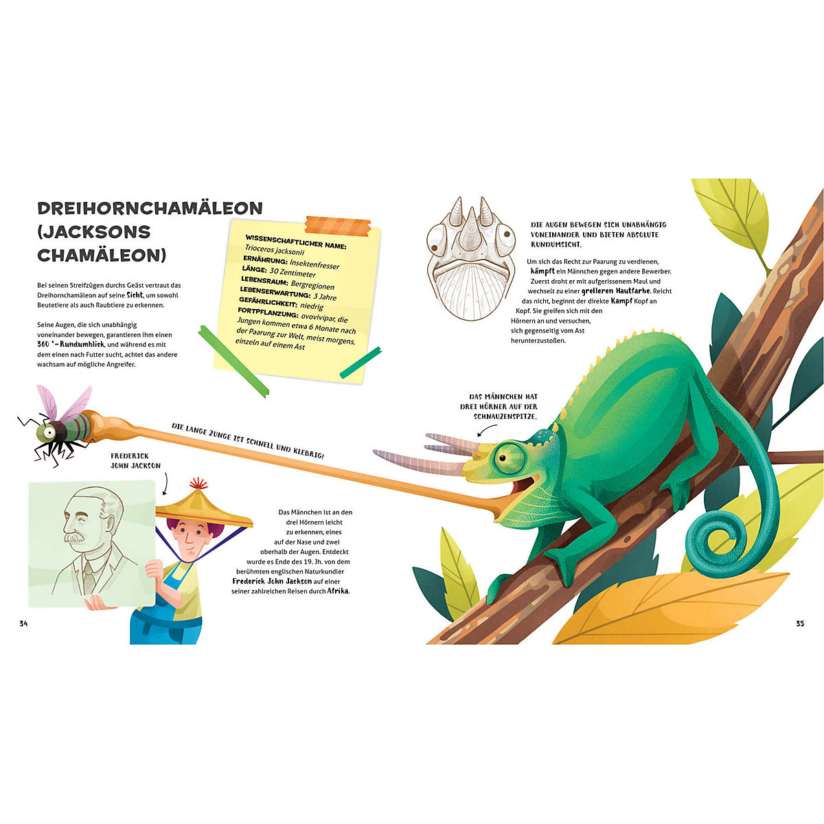 Besonders und wunderbar: Reptilien