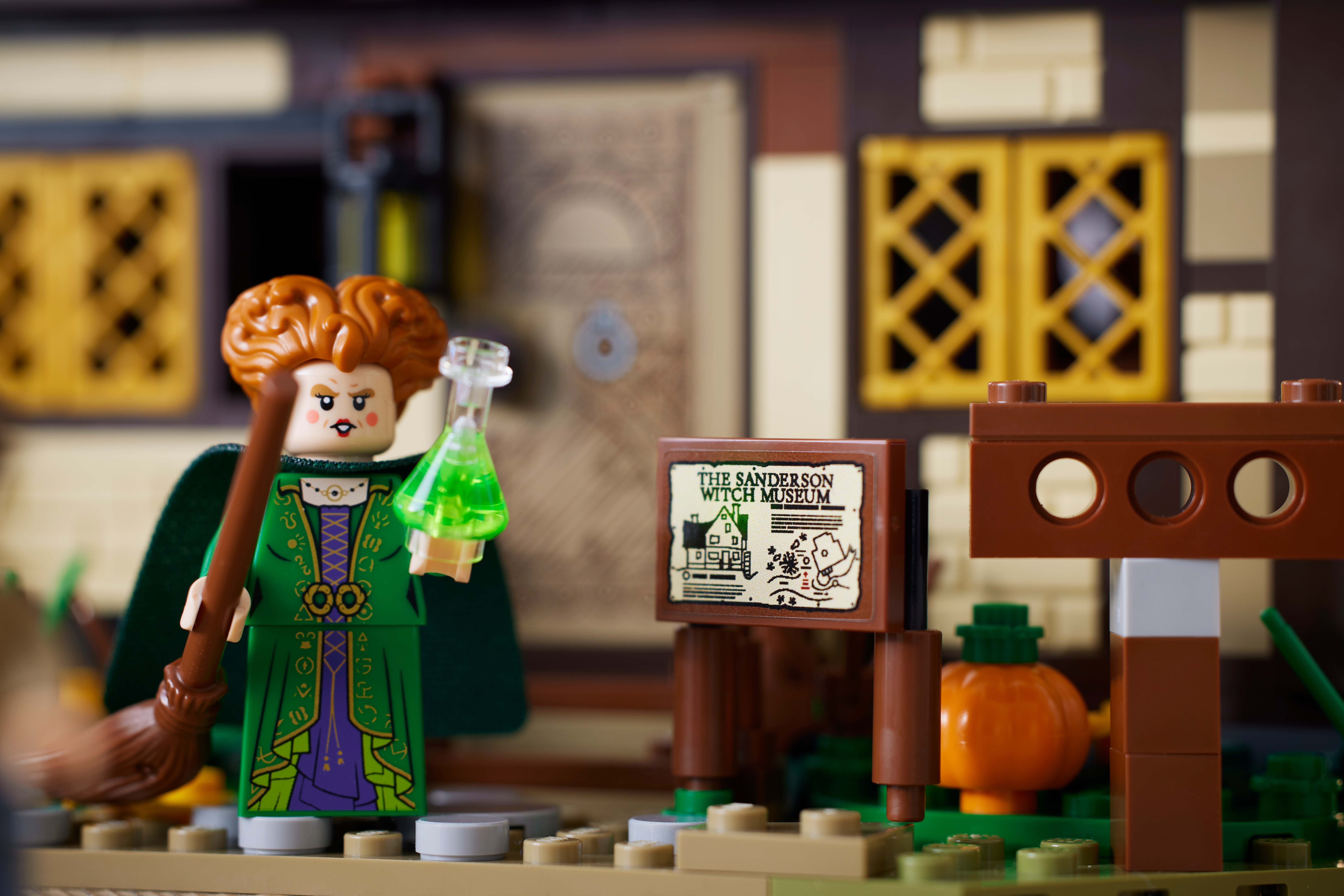 Hocus Pocus Disney : le manoir des sœurs Sanderson 21341