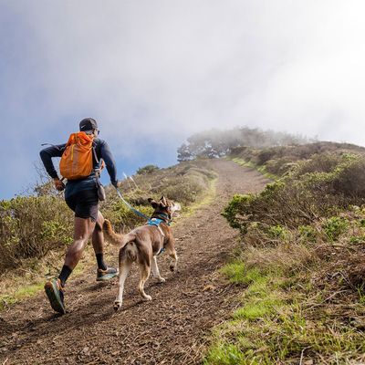 RUFFWEAR Hi & Light Leine