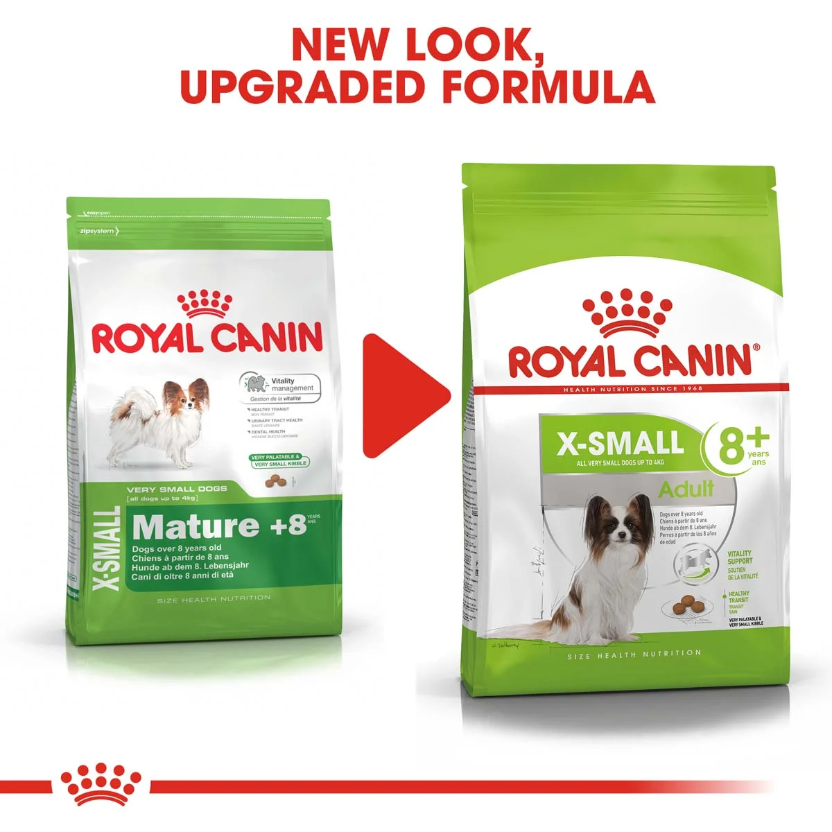 ROYAL CANIN X-SMALL Adult 8+ Trockenfutter für ältere sehr kleine Hunde