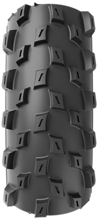 Vittoria Barzo 29