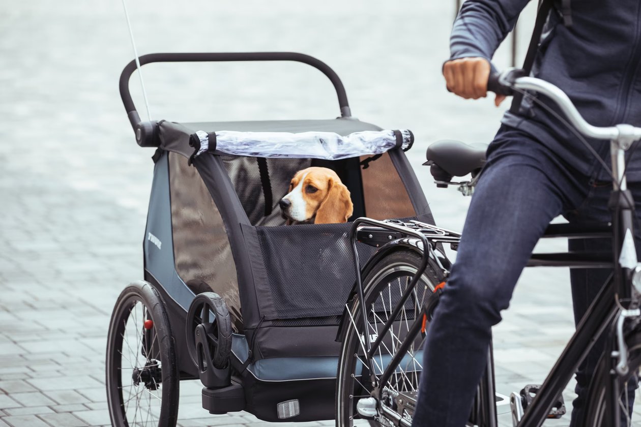 Thule Courier - Pet Accessory