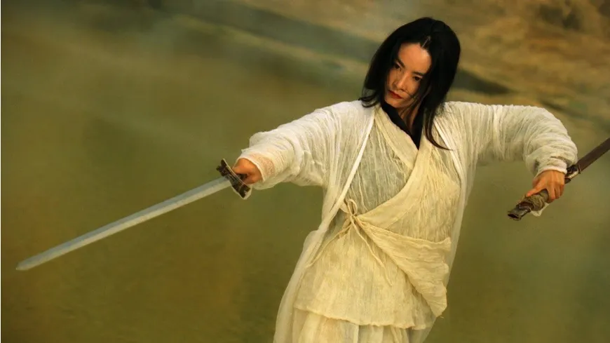Das Kino des Wong Kar Wai  [11 DVDs]