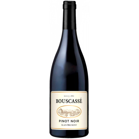 PINOT NOIR 2020 - CHATEAU BOUSCASSE
