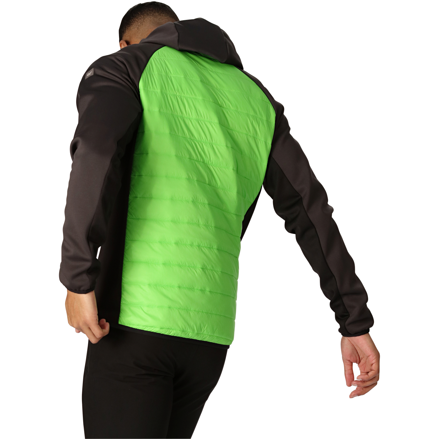 Regatta Herren Jacke Andreson VIII Hybrid (grau/grün)