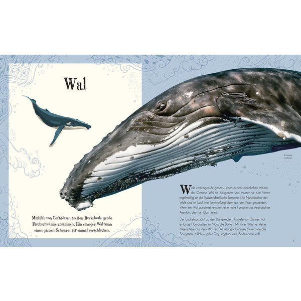 Wundervolle Welt der Tiere - Kinderbuch