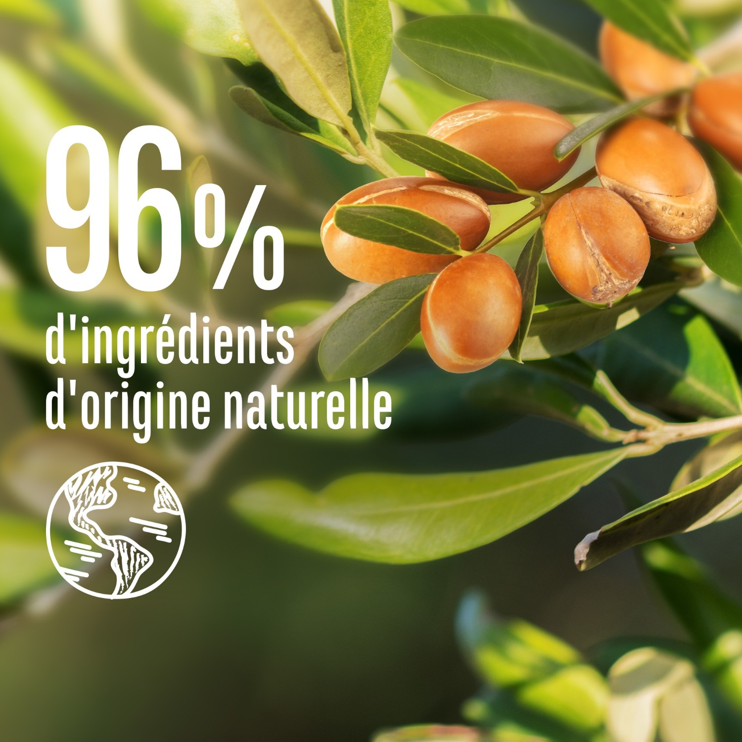Le Petit Marseillais Szampon z organicznym nagietkiem i naparem arganowym - butelka