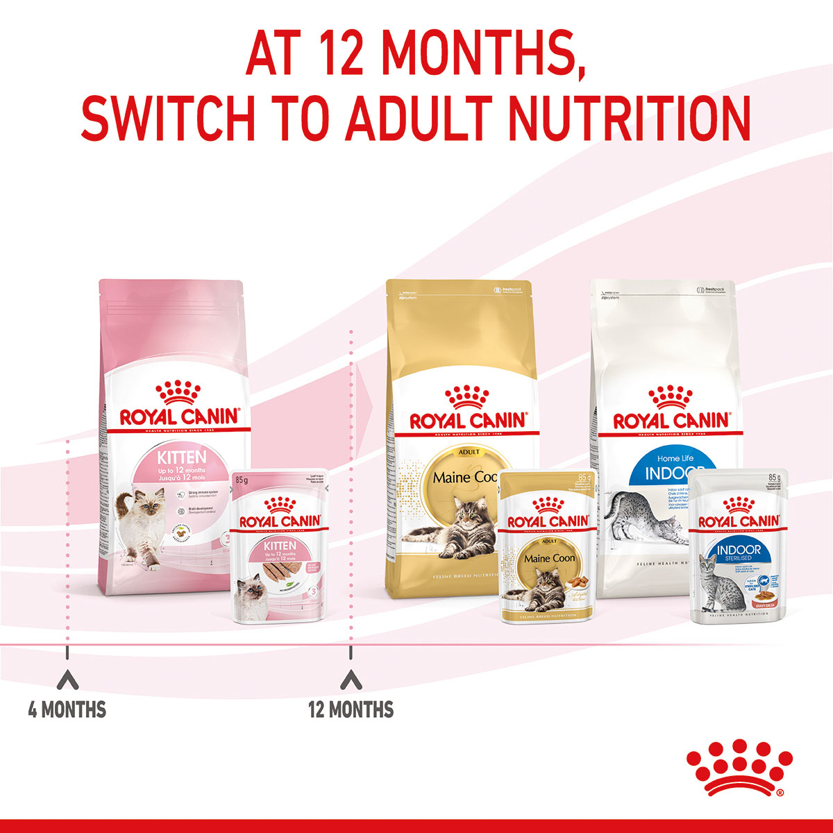 ROYAL CANIN KITTEN Nassfutter in Mousse für Kätzchen bei ZooRoyal