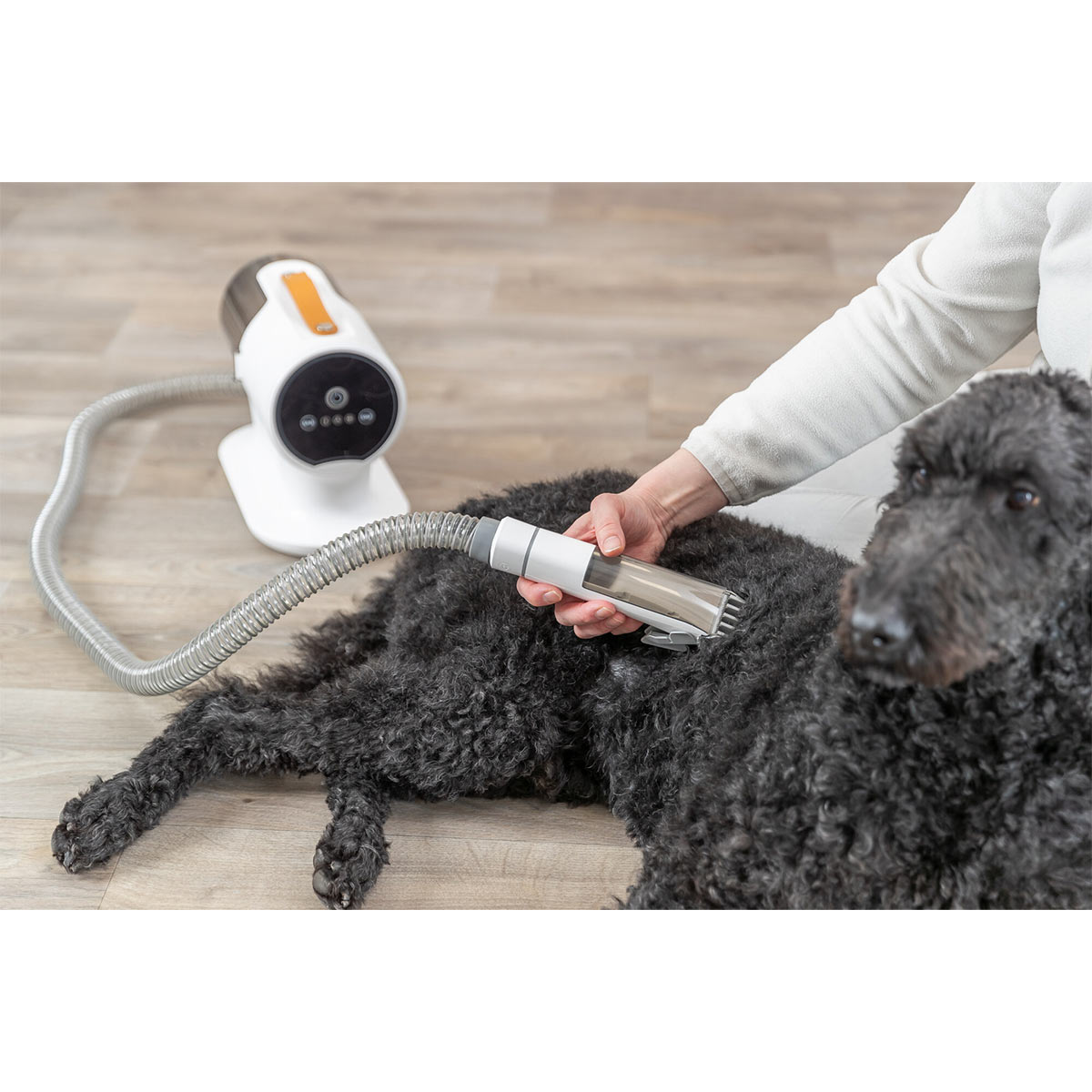 Trixie Schermaschinenset mit Fellsauger 2l, 600W