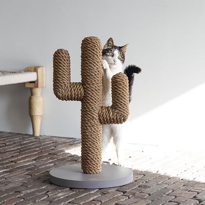 Designed by Lotte Kratzstamm Kaktus