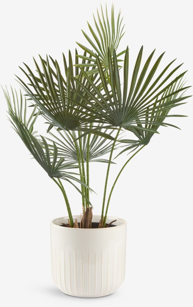 JAKOB Kunstpflanze JAKOB B60xL45xH73cm grün