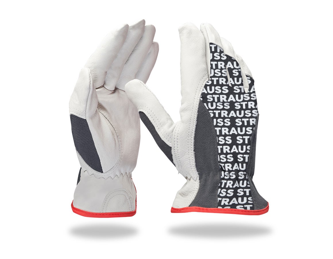 Nappaleder-Fahrer-Handschuhe Driver Profi