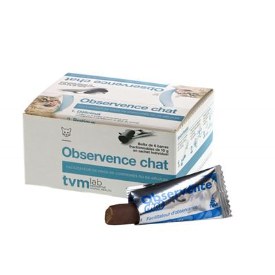 TVM Observence Katze