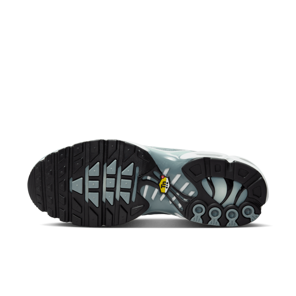Nike Air Max Plus FV0394-300 / grün