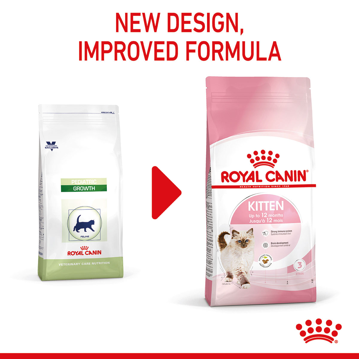 ROYAL CANIN KITTEN Trockenfutter für Kätzchen kaufen
