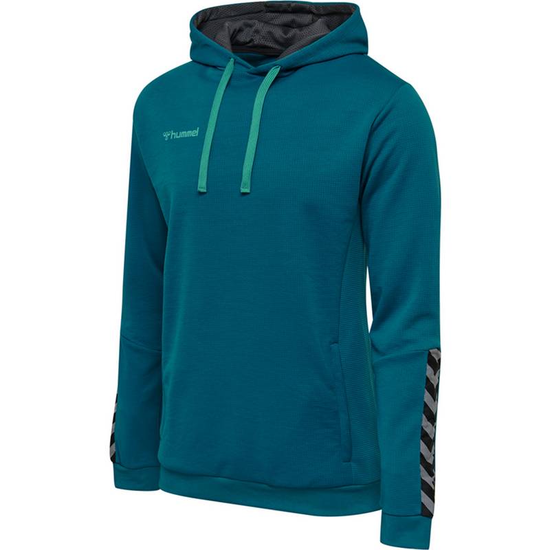hummel hmlAUTHENTIC POLY HOODIE Hoodie Herren
