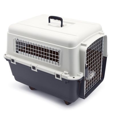 Savic Transportbox Feria Andes mit Rollen