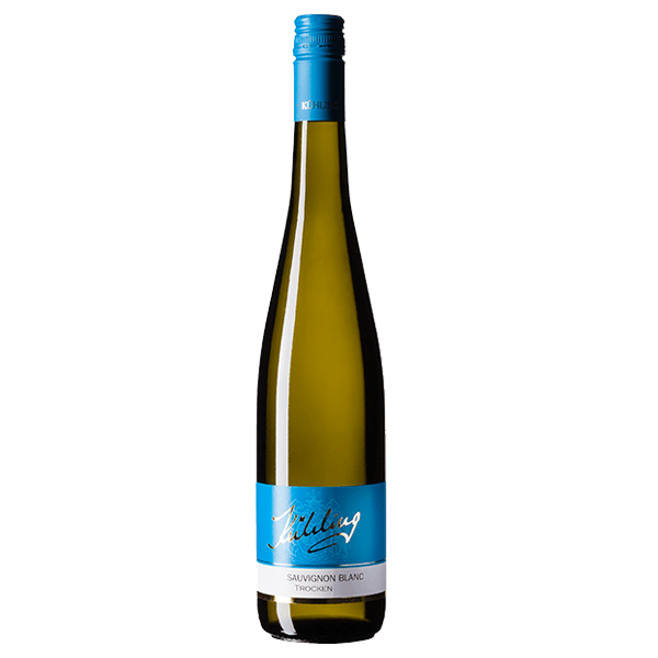 2023 Sauvignon blanc BIO trocken