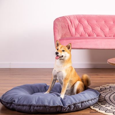 Modern Living Katzenbett Kapstadt 2-in-1