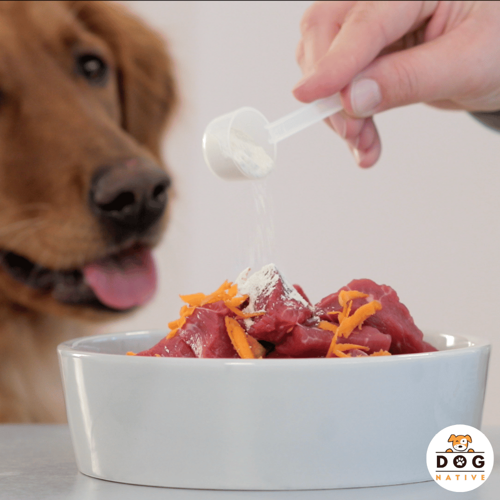 Dog-Native Ergänzungsfutter & Aufzucht Dog-Native GelenkFit Pulver für Hunde, natürliches Gelenkpulver mit Grünlippmuschel, MSM, Kollagen-Hydrolysat und Chondroitin für Gelenke, 500 g