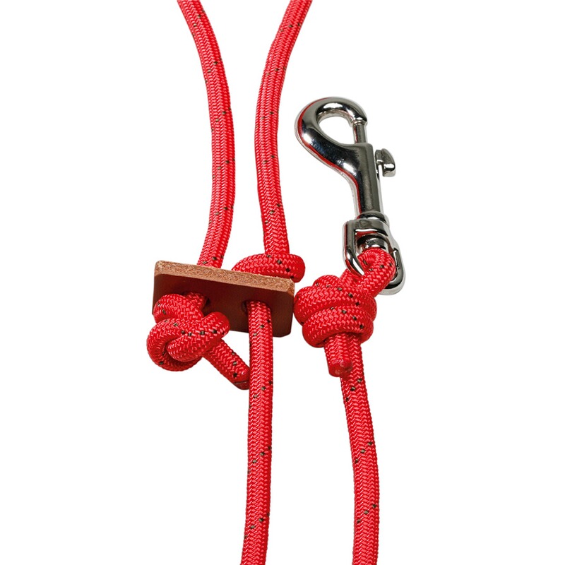 Horse Gear Beileine
