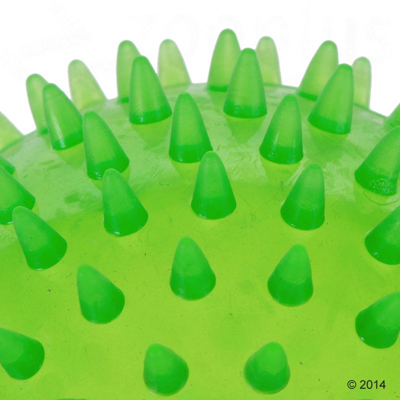 Hundespielzeug TPR Spiky Ball large zu TOP-Preisen % bei bitiba.de