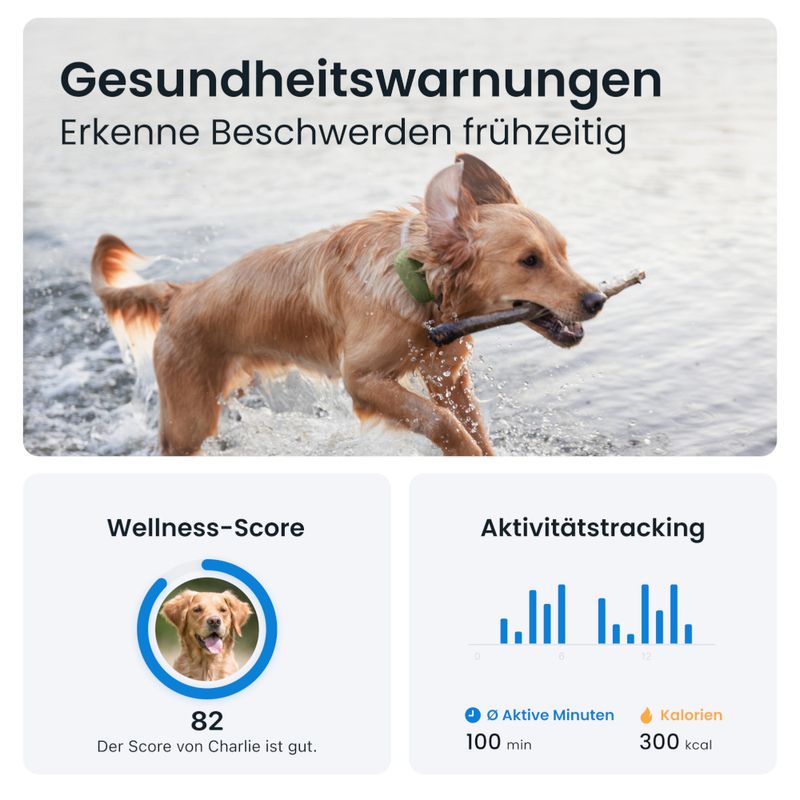 Tractive GPS Tracker XL für Hunde zu TOP-Preisen
