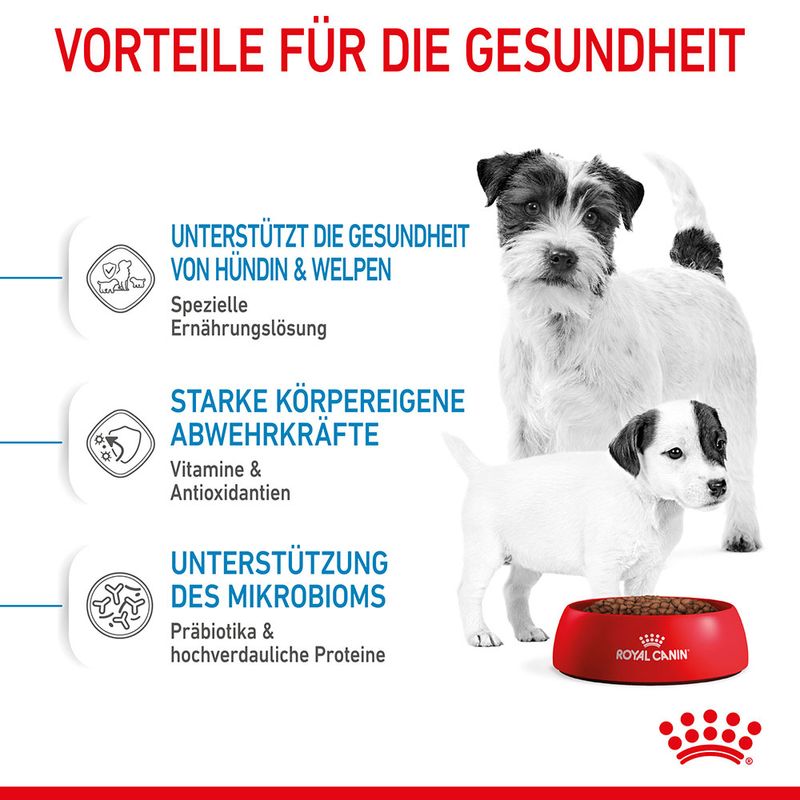 Royal Canin Mini Starter Mother & Babydog