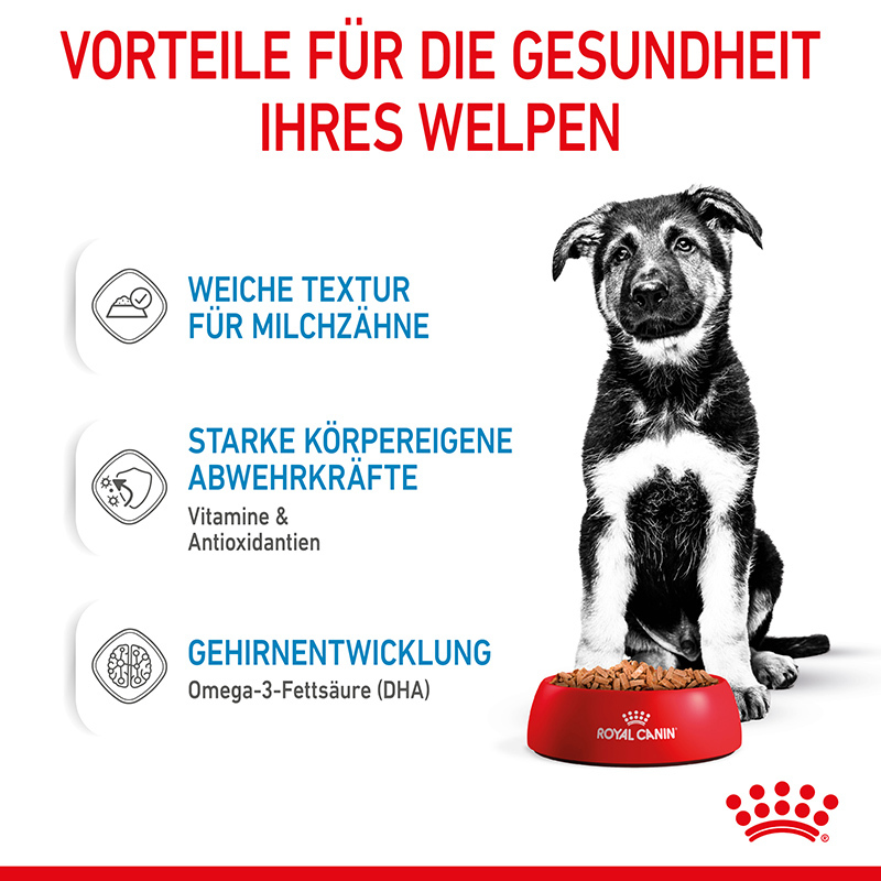 ROYAL CANIN Hundenassfutter ROYAL CANIN Maxi Puppy 10x140g