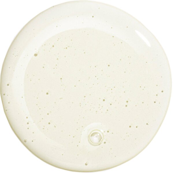 Hair Rituel by Sisley Soin Lavant Doux Pureté Shampoo