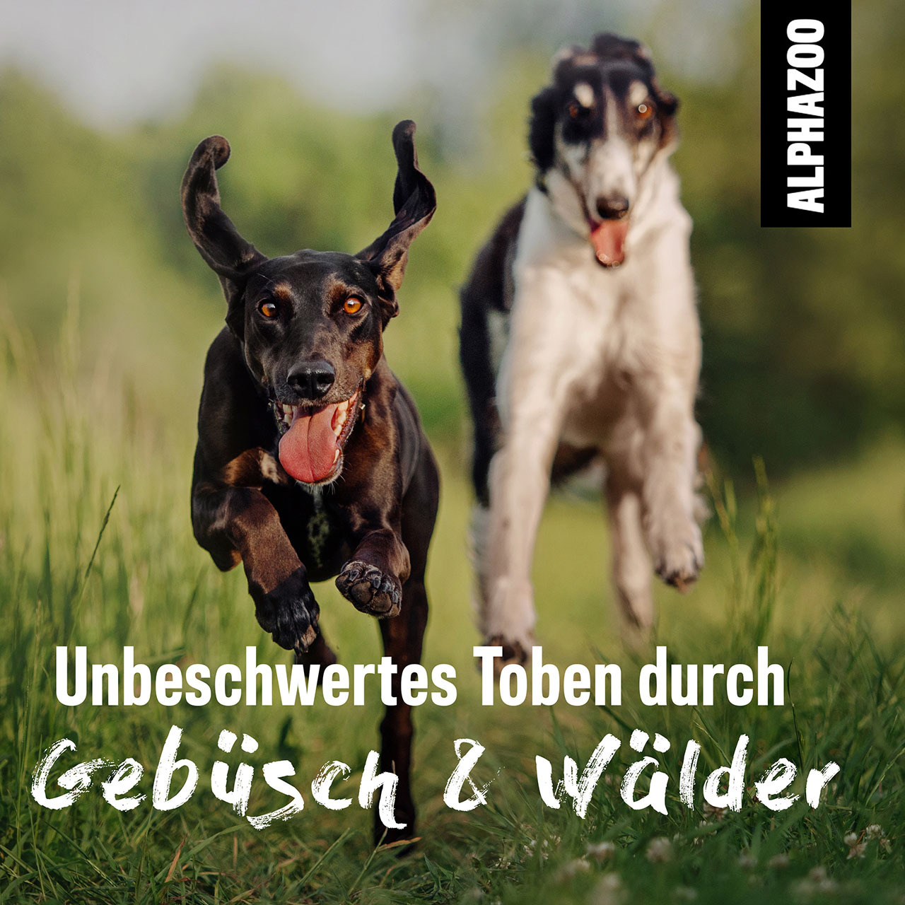 ALPHAZOO Floh- & Zeckenmittel ALPHAZOO Zeck-Attack 200ml - Zeckenspray für Hunde, Katzen, Haus- und Hoftiere 100 ml