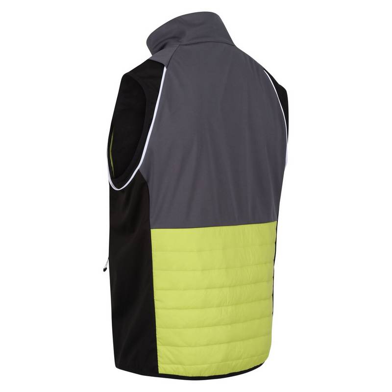 Regatta Steren Funktionsjacke Herren