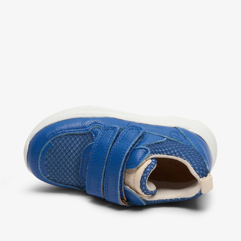 pan v cobalt - Blau