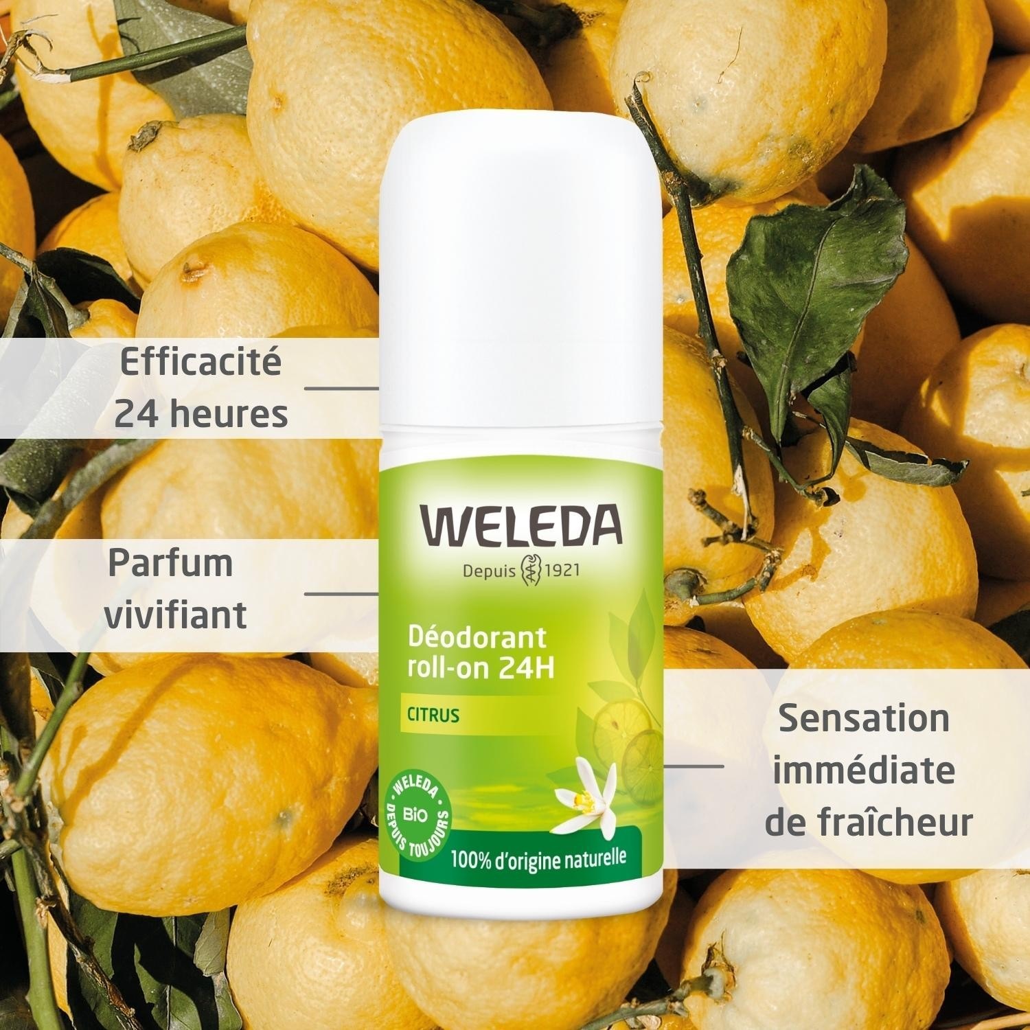 Weleda 24H roll-on dezodorant s citrusovou vôňou - 50 ml