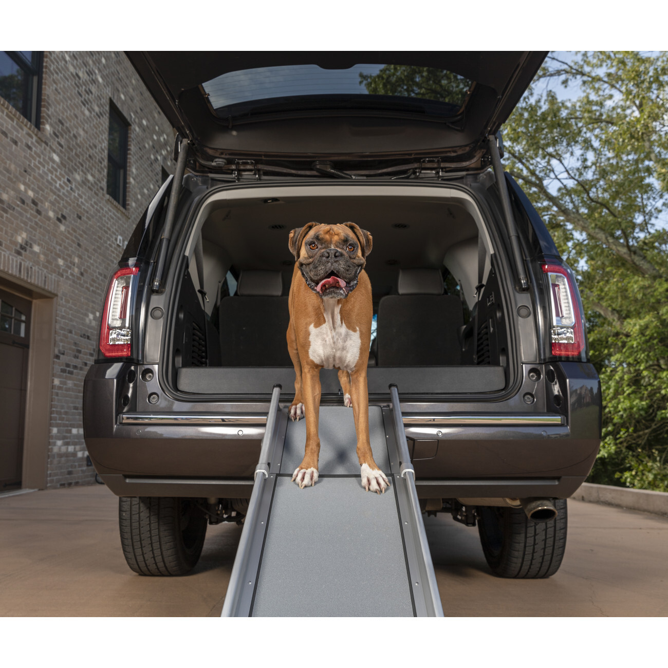 PetSafe Autozubehör PetSafe Happy Ride Teleskop-Hunderampe