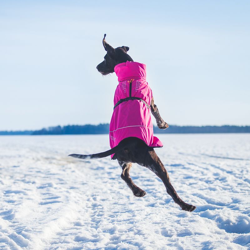 Rukka Warmup Hundemantel, pink zu TOP-Preisen