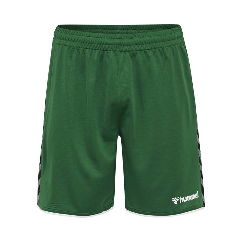 hummel hmlAUTHENTIC POLY SHORTS Shorts Herren