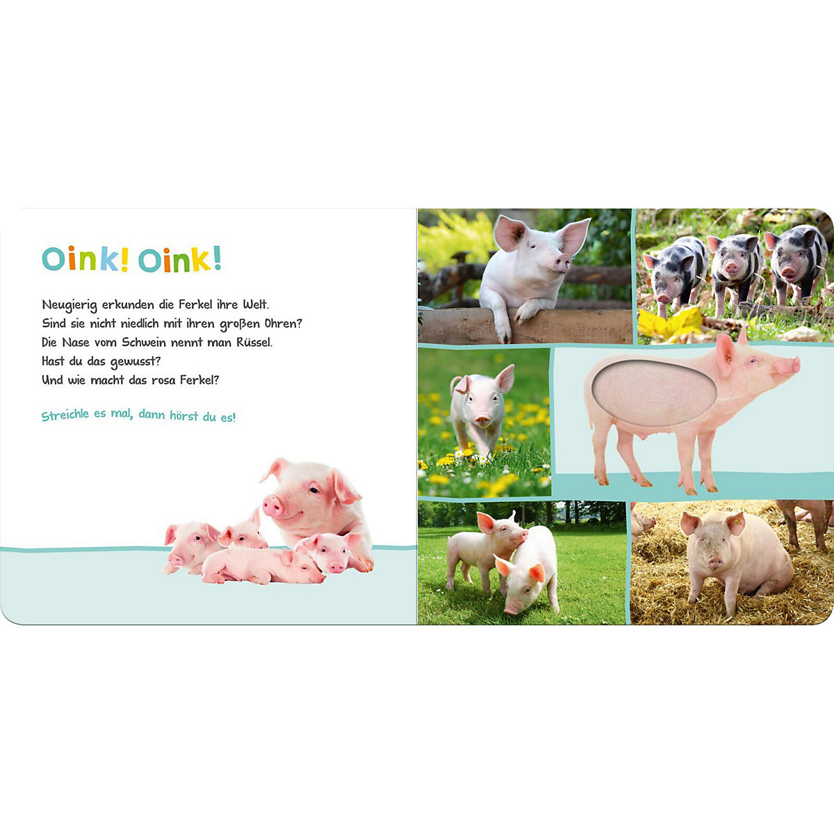 Hör mal rein, wer kann das sein: Bauernhoftiere, Soundbuch mit Tiergeräuschen