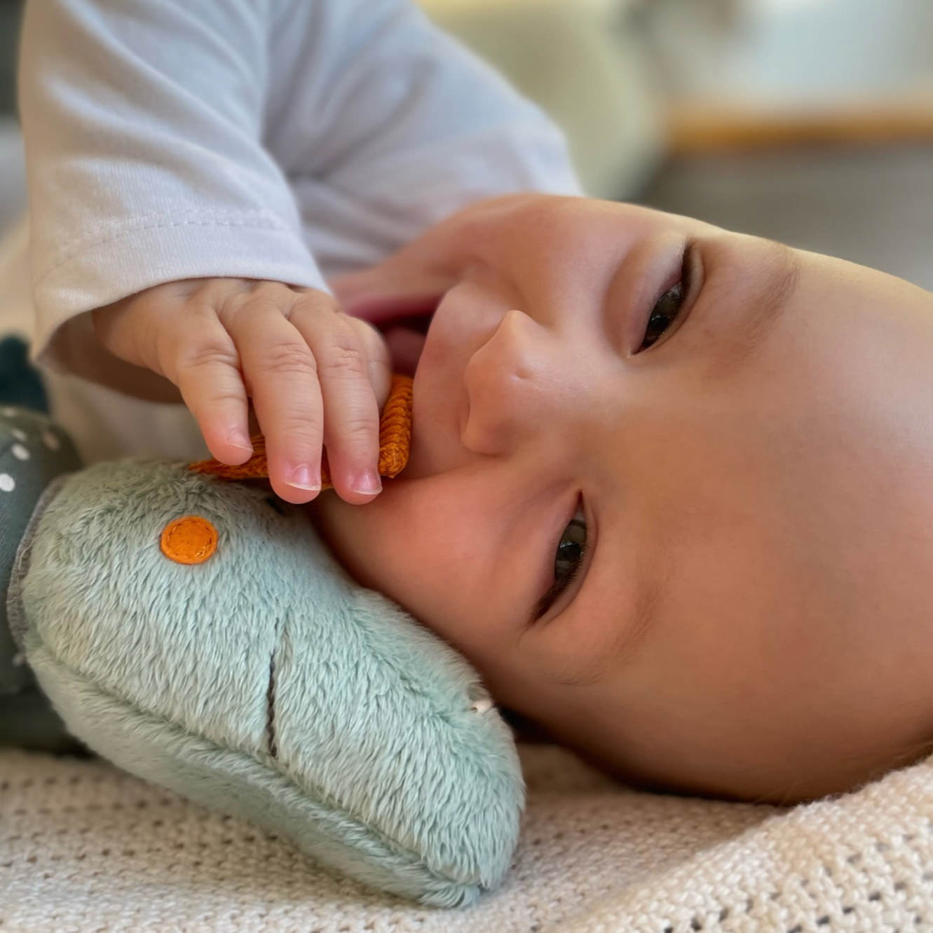 Baby Aktiv Klettdrache