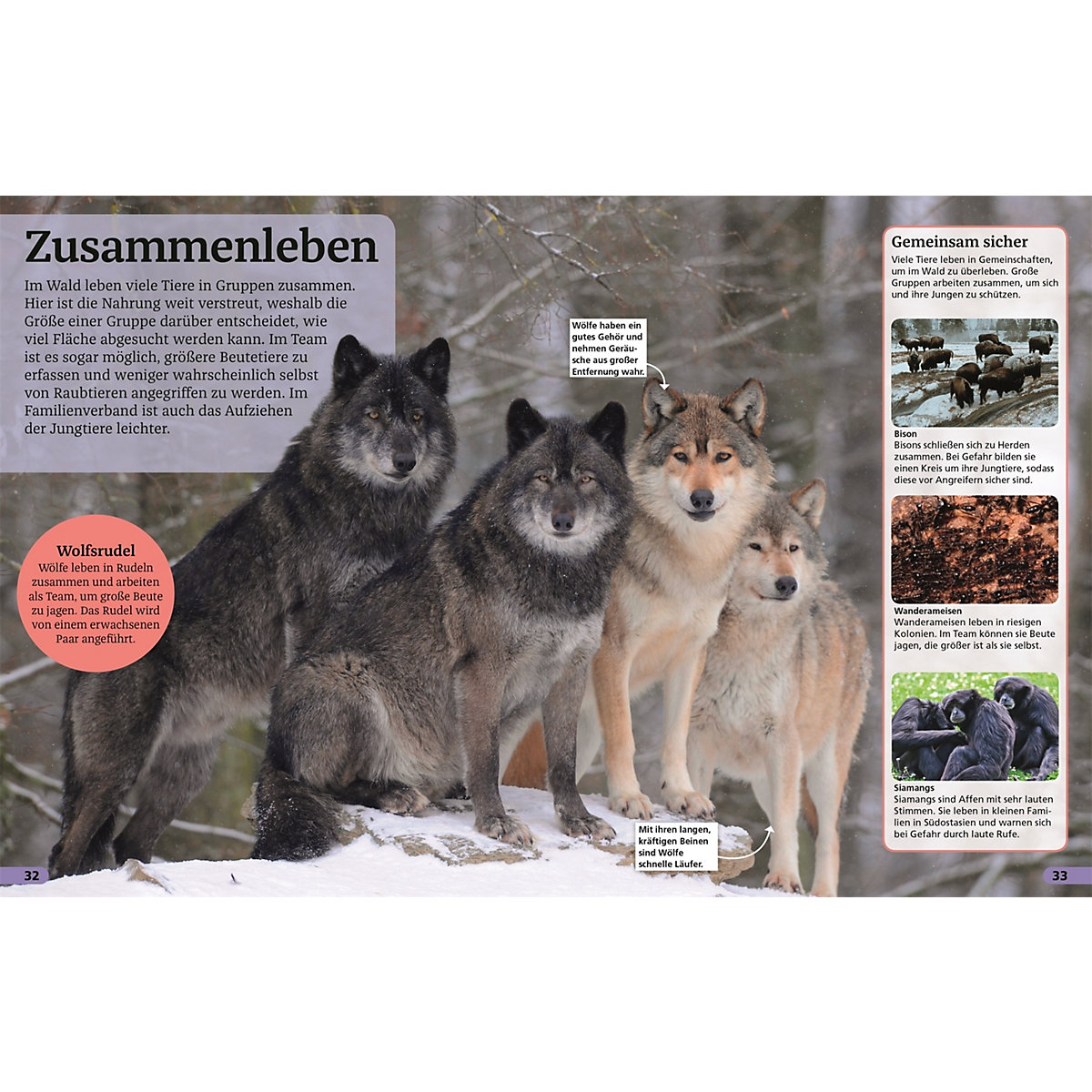 Superchecker! Wald