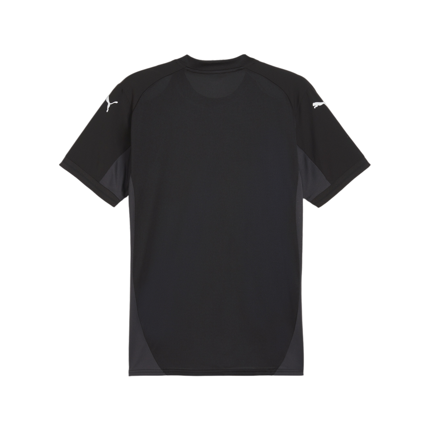 PUMA teamFINAL Trikot Schwarz Weiss Grau F03