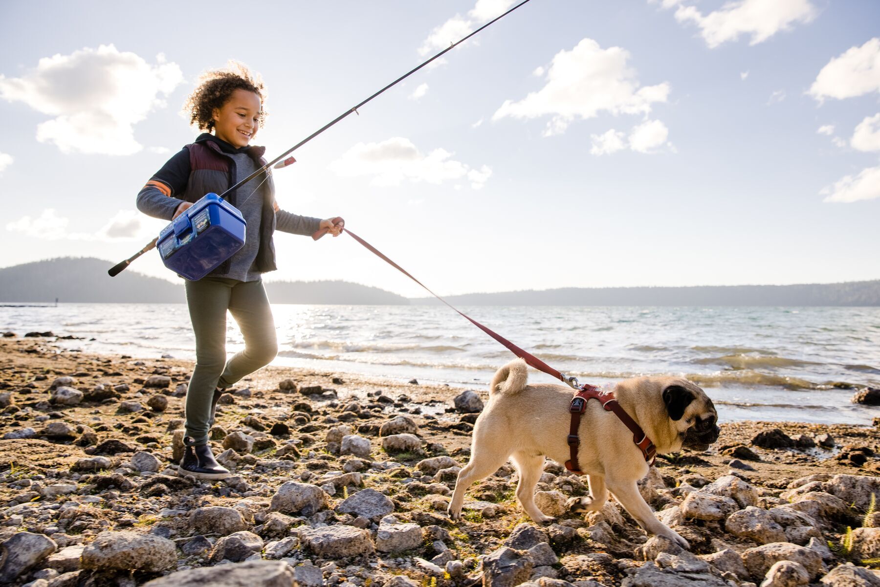 Ruffwear Hundeleinen Ruffwear Front Range™ Leine rubin