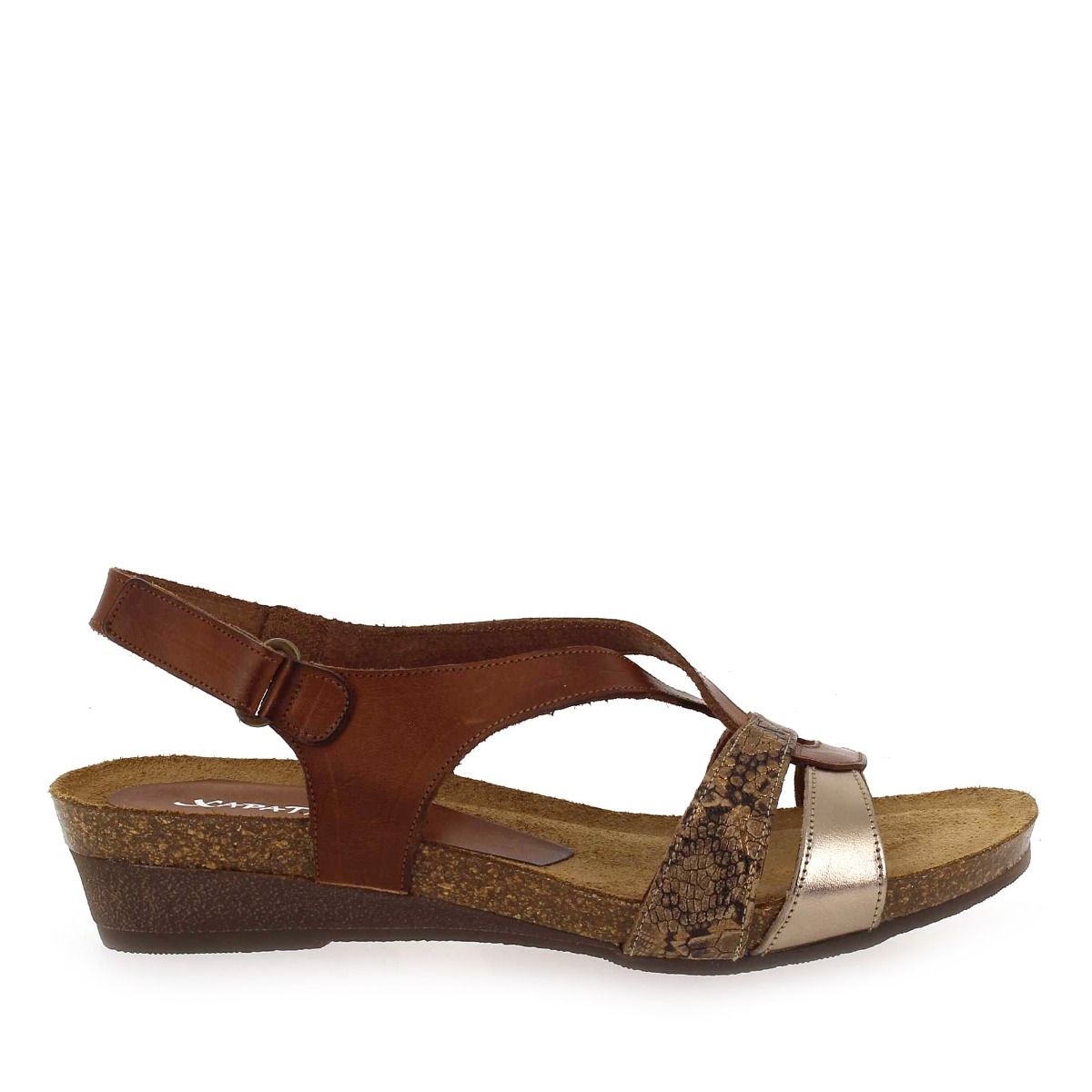 Xapatan   9105  - Cognac