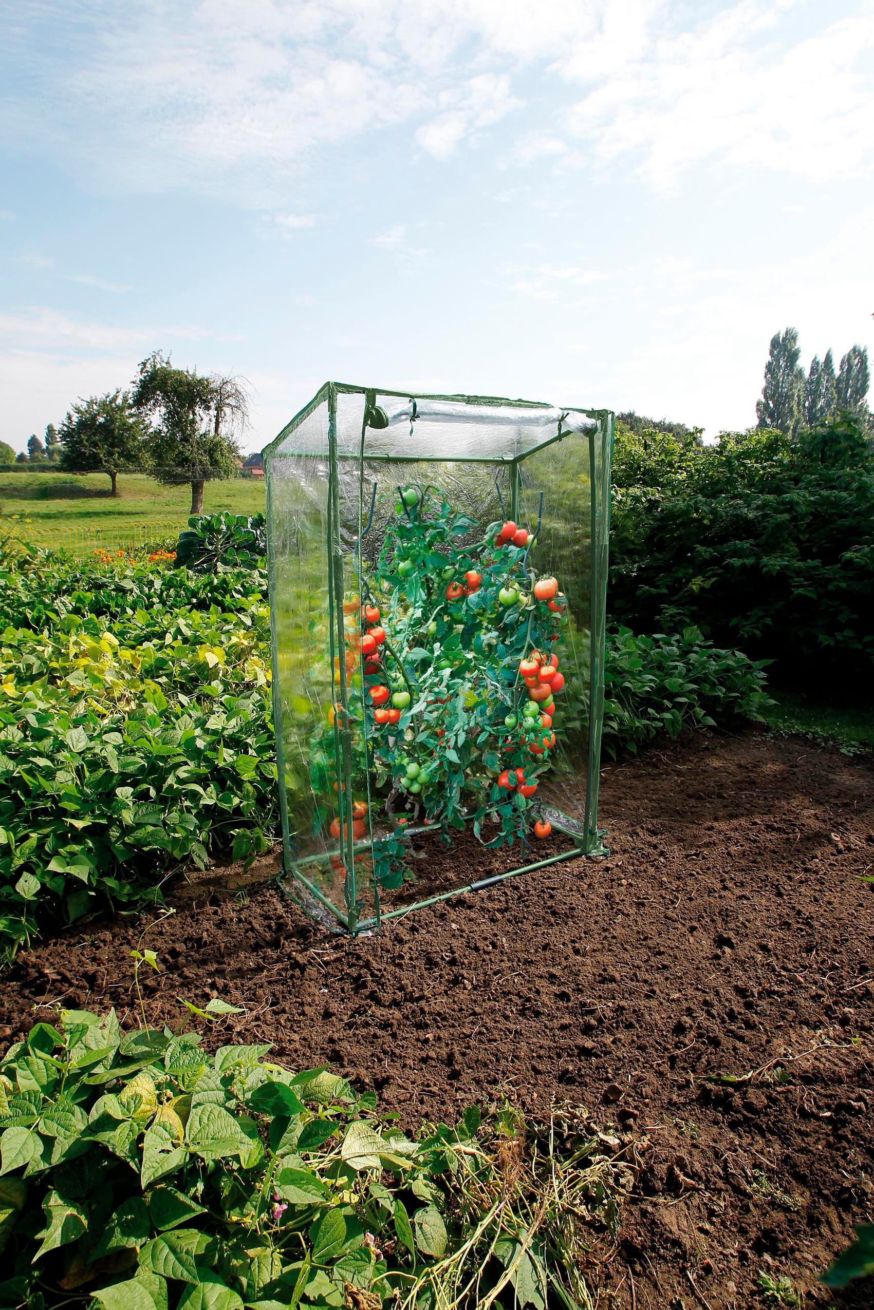 Ubbink Tomatengewächshaus