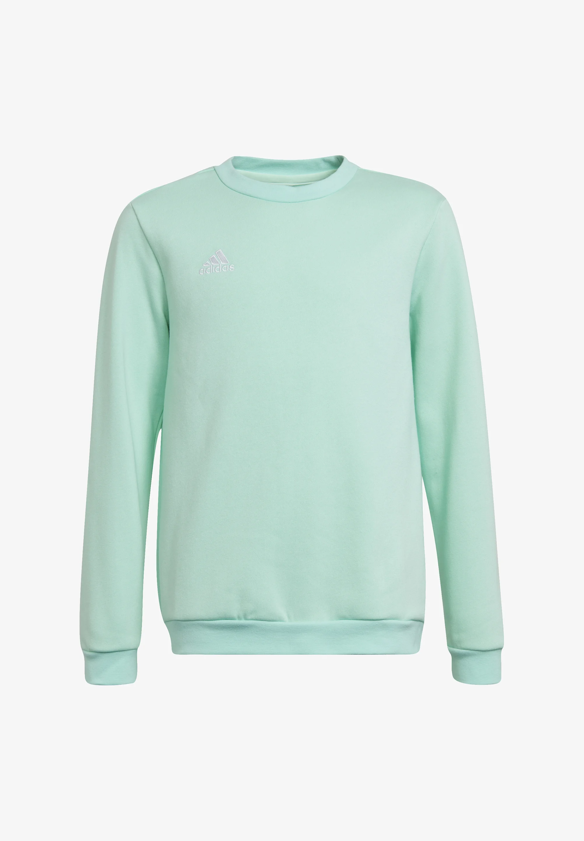 adidas Performance FUSSBALL TEAMSPORT ENTR - Sudadera